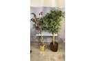 Property photo 233 - TIMED ONLINE ONLY - PERSONAL PROPERTY AUCTION - ALLEN COUNTY, INDIANA