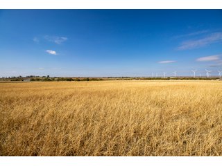 Property photo 8 - LAND AUCTION - 240+/- Acres with Multiple Homes in Custer & Roger Mills Counties, OKLAHOMA