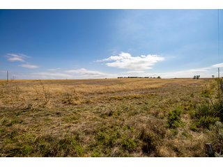Property photo 9 - LAND AUCTION - 240+/- Acres with Multiple Homes in Custer & Roger Mills Counties, OKLAHOMA
