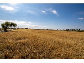 Property photo 12 - LAND AUCTION - 240+/- Acres with Multiple Homes in Custer & Roger Mills Counties, OKLAHOMA