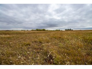 Property photo 17 - LAND AUCTION - 240+/- Acres with Multiple Homes in Custer & Roger Mills Counties, OKLAHOMA