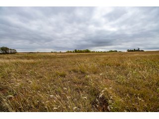 Property photo 16 - LAND AUCTION - 240+/- Acres with Multiple Homes in Custer & Roger Mills Counties, OKLAHOMA
