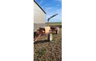 Property photo 97 - IRRIGATION EQUIPMENT CONSIGNMENT - TIMED ONLINE ONLY