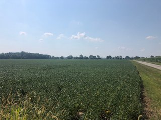 Property photo 18 - WESTERN OHIO LAND AUCTION - 148.5 +/- ACRES OFFERED IN 5 TRACTS IN EATON, OH