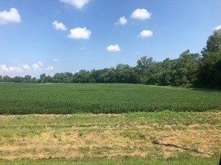 Property photo 20 - WESTERN OHIO LAND AUCTION - 148.5 +/- ACRES OFFERED IN 5 TRACTS IN EATON, OH