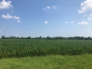 Property photo 23 - WESTERN OHIO LAND AUCTION - 148.5 +/- ACRES OFFERED IN 5 TRACTS IN EATON, OH