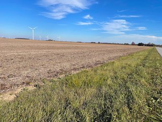 Property photo 4 - LAND AUCTION - 160+/- ACRES OFFERED IN 4 TRACTS IN PAULDING COUNTY, OHIO