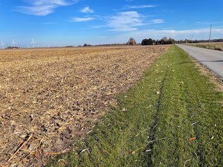 Property photo 6 - LAND AUCTION - 160+/- ACRES OFFERED IN 4 TRACTS IN PAULDING COUNTY, OHIO