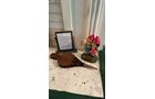 Property photo 151 - TIMED ONLINE ONLY - PERSONAL PROPERTY AUCTION IN FORT WAYNE, INDIANA