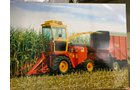 Property photo 4 - TIMED ONLINE ONLY TOY AUCTION IN LAGRANGE COUNTY, INDIANA