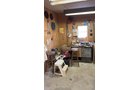 Property photo 76 - TIMED ONLINE ONLY AUCTION - PERSONAL PROPERTY - AUBURN, IN