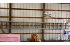 Property photo 115 - TIMED ONLINE ONLY AUCTION - PERSONAL PROPERTY - AUBURN, IN