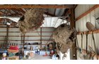 Property photo 132 - TIMED ONLINE ONLY AUCTION - PERSONAL PROPERTY - AUBURN, IN