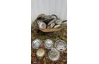 Property photo 164 - TIMED ONLINE ONLY AUCTION - PERSONAL PROPERTY - AUBURN, IN