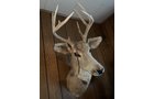 Property photo 236 - TIMED ONLINE ONLY AUCTION - PERSONAL PROPERTY - AUBURN, IN