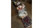 Property photo 263 - TIMED ONLINE ONLY AUCTION - PERSONAL PROPERTY - AUBURN, IN