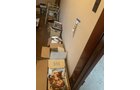 Property photo 274 - TIMED ONLINE ONLY AUCTION - PERSONAL PROPERTY - AUBURN, IN