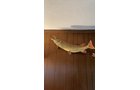 Property photo 320 - TIMED ONLINE ONLY AUCTION - PERSONAL PROPERTY - AUBURN, IN