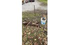 Property photo 349 - TIMED ONLINE ONLY AUCTION - PERSONAL PROPERTY - AUBURN, IN