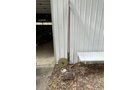 Property photo 350 - TIMED ONLINE ONLY AUCTION - PERSONAL PROPERTY - AUBURN, IN
