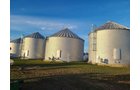 Property photo 8 - TIMED ONLINE ONLY - FARM EQUIPMENT AUCTION - DEKALB COUNTY, IN