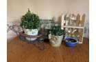Property photo 35 - TIMED ONLINE ONLY AUCTION - PERSONAL PROPERTY - FORT WAYNE, IN