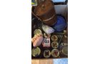 Property photo 39 - TIMED ONLINE ONLY AUCTION - PERSONAL PROPERTY - FORT WAYNE, IN