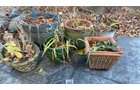 Property photo 120 - TIMED ONLINE ONLY AUCTION - PERSONAL PROPERTY - FORT WAYNE, IN
