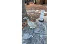 Property photo 122 - TIMED ONLINE ONLY AUCTION - PERSONAL PROPERTY - FORT WAYNE, IN