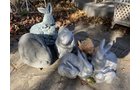 Property photo 154 - TIMED ONLINE ONLY AUCTION - PERSONAL PROPERTY - FORT WAYNE, IN