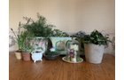 Property photo 229 - TIMED ONLINE ONLY AUCTION - PERSONAL PROPERTY - FORT WAYNE, IN