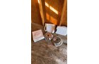 Property photo 37 - TIMED ONLINE ONLY AUCTION - PERSONAL PROPERTY - FORT WAYNE, IN