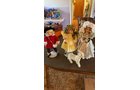 Property photo 100 - TIMED ONLINE ONLY AUCTION - PERSONAL PROPERTY - FORT WAYNE, IN