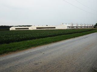 Property photo 1 - HOG FARM FOR SALE - 10+/- ACRES IN ADAMS COUNTY, IN
