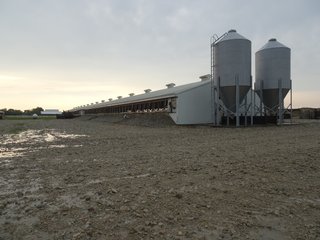 Property photo 2 - HOG FARM FOR SALE - 10+/- ACRES IN ADAMS COUNTY, IN
