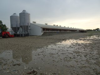 Property photo 3 - HOG FARM FOR SALE - 10+/- ACRES IN ADAMS COUNTY, IN