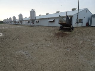 Property photo 4 - HOG FARM FOR SALE - 10+/- ACRES IN ADAMS COUNTY, IN