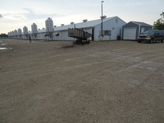 Property photo 5 - HOG FARM FOR SALE - 10+/- ACRES IN ADAMS COUNTY, IN