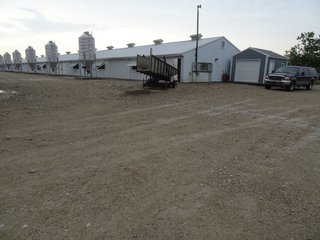 Property photo 6 - HOG FARM FOR SALE - 10+/- ACRES IN ADAMS COUNTY, IN