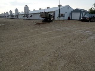 Property photo 7 - HOG FARM FOR SALE - 10+/- ACRES IN ADAMS COUNTY, IN