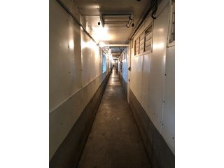 <b>Nursery & Finishing Facility</b><br>
<li>10+/- Acres
<li>3 Barns built in 1997
<li>1 Nursery with a capacity of 4,000 pigs
<li>2 Finishing barns with a capacity of 2,800 pigs
<li>1.8 million Plus gallon lagoon
<li>Facilities under contract
<li>Slat Savers in finishing barns<br><br>
<b>Recent updates</b><br>
<li>New plastic flooring in nursery building
<li>New Aluminum roof on finishing barns - HOG FARM FOR SALE - 10+/- ACRES IN ADAMS COUNTY, IN