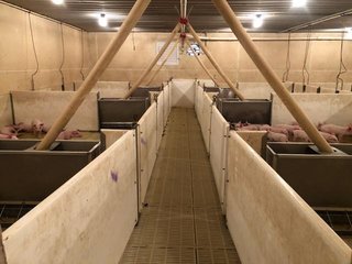 <b>Nursery & Finishing Facility</b><br>
<li>10+/- Acres
<li>3 Barns built in 1997
<li>1 Nursery with a capacity of 4,000 pigs
<li>2 Finishing barns with a capacity of 2,800 pigs
<li>1.8 million Plus gallon lagoon
<li>Facilities under contract
<li>Slat Savers in finishing barns<br><br>
<b>Recent updates</b><br>
<li>New plastic flooring in nursery building
<li>New Aluminum roof on finishing barns - HOG FARM FOR SALE - 10+/- ACRES IN ADAMS COUNTY, IN