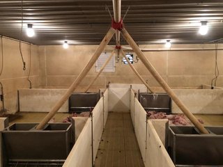 <b>Nursery & Finishing Facility</b><br>
<li>10+/- Acres
<li>3 Barns built in 1997
<li>1 Nursery with a capacity of 4,000 pigs
<li>2 Finishing barns with a capacity of 2,800 pigs
<li>1.8 million Plus gallon lagoon
<li>Facilities under contract
<li>Slat Savers in finishing barns<br><br>
<b>Recent updates</b><br>
<li>New plastic flooring in nursery building
<li>New Aluminum roof on finishing barns - HOG FARM FOR SALE - 10+/- ACRES IN ADAMS COUNTY, IN