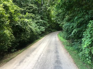<li>Timber Potential
<li>Hunting, Fishing & Canoeing Here
<li>Cropland Income

49 +/- Acres: With 30+/- acres of pretty woodland and 18+/- acres river bottom cropland. About 2,800 ft. of frontage on Williams Rd. and owning both sides of scenic Williams Creek. Fish, canoe and hunt on your own property here. Also frontage on S. Snyder Rd. Nice combination of recreational land and investment crop income. Great hunting area. - LAND FOR SALE - 49 +/- ACRES - FAYETTE COUNTY, INDIANA
