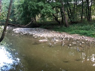 <li>Timber Potential
<li>Hunting, Fishing & Canoeing Here
<li>Cropland Income

49 +/- Acres: With 30+/- acres of pretty woodland and 18+/- acres river bottom cropland. About 2,800 ft. of frontage on Williams Rd. and owning both sides of scenic Williams Creek. Fish, canoe and hunt on your own property here. Also frontage on S. Snyder Rd. Nice combination of recreational land and investment crop income. Great hunting area. - LAND FOR SALE - 49 +/- ACRES - FAYETTE COUNTY, INDIANA