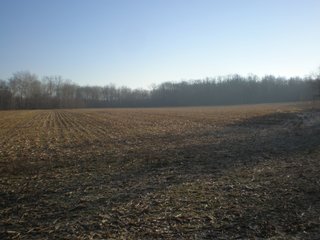 <li>Timber Potential
<li>Hunting, Fishing & Canoeing Here
<li>Cropland Income

49 +/- Acres: With 30+/- acres of pretty woodland and 18+/- acres river bottom cropland. About 2,800 ft. of frontage on Williams Rd. and owning both sides of scenic Williams Creek. Fish, canoe and hunt on your own property here. Also frontage on S. Snyder Rd. Nice combination of recreational land and investment crop income. Great hunting area. - LAND FOR SALE - 49 +/- ACRES - FAYETTE COUNTY, INDIANA