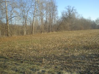 <li>Timber Potential
<li>Hunting, Fishing & Canoeing Here
<li>Cropland Income

49 +/- Acres: With 30+/- acres of pretty woodland and 18+/- acres river bottom cropland. About 2,800 ft. of frontage on Williams Rd. and owning both sides of scenic Williams Creek. Fish, canoe and hunt on your own property here. Also frontage on S. Snyder Rd. Nice combination of recreational land and investment crop income. Great hunting area. - LAND FOR SALE - 49 +/- ACRES - FAYETTE COUNTY, INDIANA