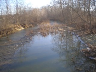 <li>Timber Potential
<li>Hunting, Fishing & Canoeing Here
<li>Cropland Income

49 +/- Acres: With 30+/- acres of pretty woodland and 18+/- acres river bottom cropland. About 2,800 ft. of frontage on Williams Rd. and owning both sides of scenic Williams Creek. Fish, canoe and hunt on your own property here. Also frontage on S. Snyder Rd. Nice combination of recreational land and investment crop income. Great hunting area. - LAND FOR SALE - 49 +/- ACRES - FAYETTE COUNTY, INDIANA