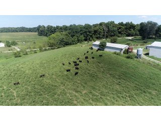 Property photo 12 - SOUTHEAST INDIANA FARM/RANCH FOR SALE - 1321 +/- ACRES IN JEFFERSON COUNTY, INDIANA