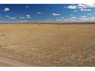 <li>766+/- Highly Productive Tillable Farmland
<li>735+/- Irrigated Acres
<li>Unlimited Water
<li>Irrigation Equipment:
<li>2018 T/L hydraulic center pivot (Pivot #2 SE Circle)
<li>2016 T/L hydraulic center pivot (Pivot #3 SW Circle)
<li>2015 T/L hydraulic center pivot (Pivot #1 NE Circle)
<li>2013 T/L hydraulic wiper pivot (110 ac. NW corner)
<li>2008 T/L hydraulic wiper pivot (75 ac. NE corner) - FARMLAND - 766+/- ACRES
